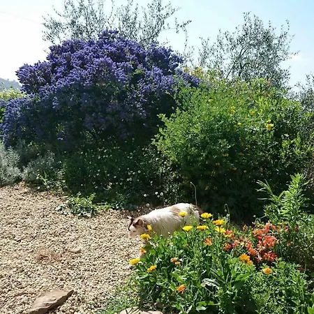 Holiday home Relax Nella Natura