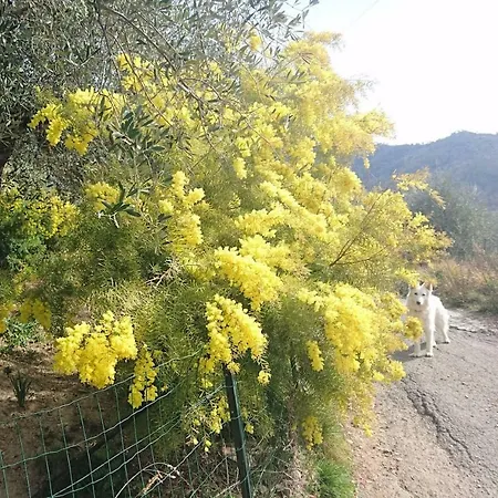 Relax Nella Natura Perinaldo