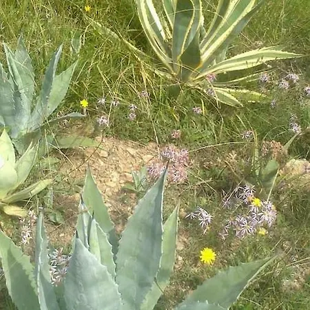 Relax Nella Natura Perinaldo